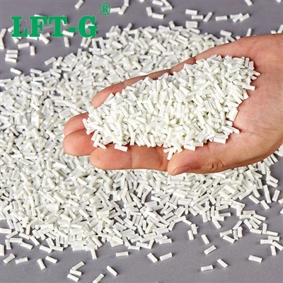 LFT-G LGF30 PA6